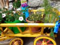 Orto in cassetta