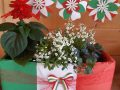 Cassetta Tricolore