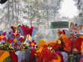 Orti con fiori e farfalle