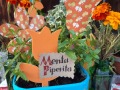 Piperita-in-cassetta