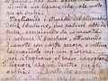 Finocchio