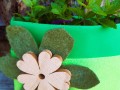 menta