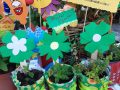 Piantine e colori