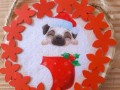cagnolino-rosso