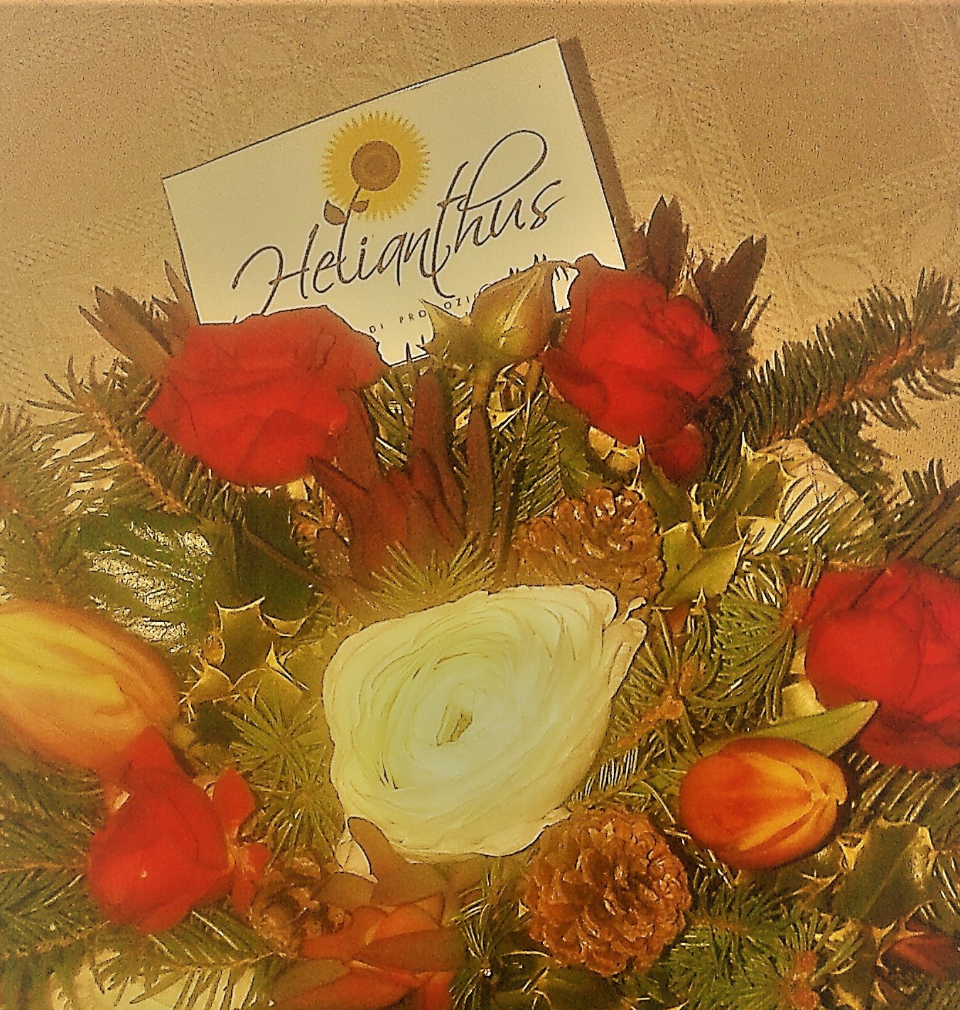 AUGURI di BUONE FESTE