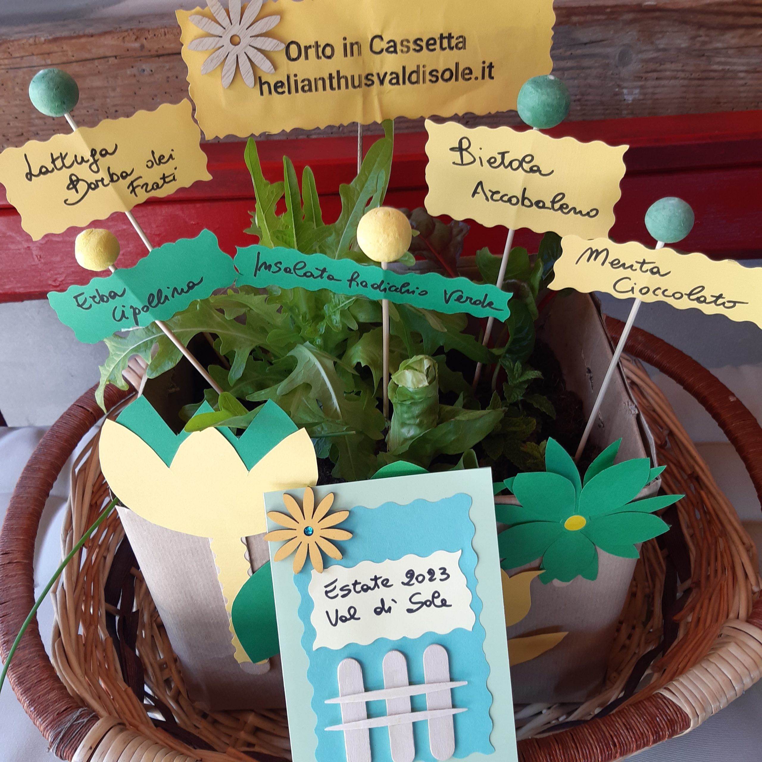 orto in cassetta con biglietto Laboratori creativi per bambini - Val di Sole - 2023