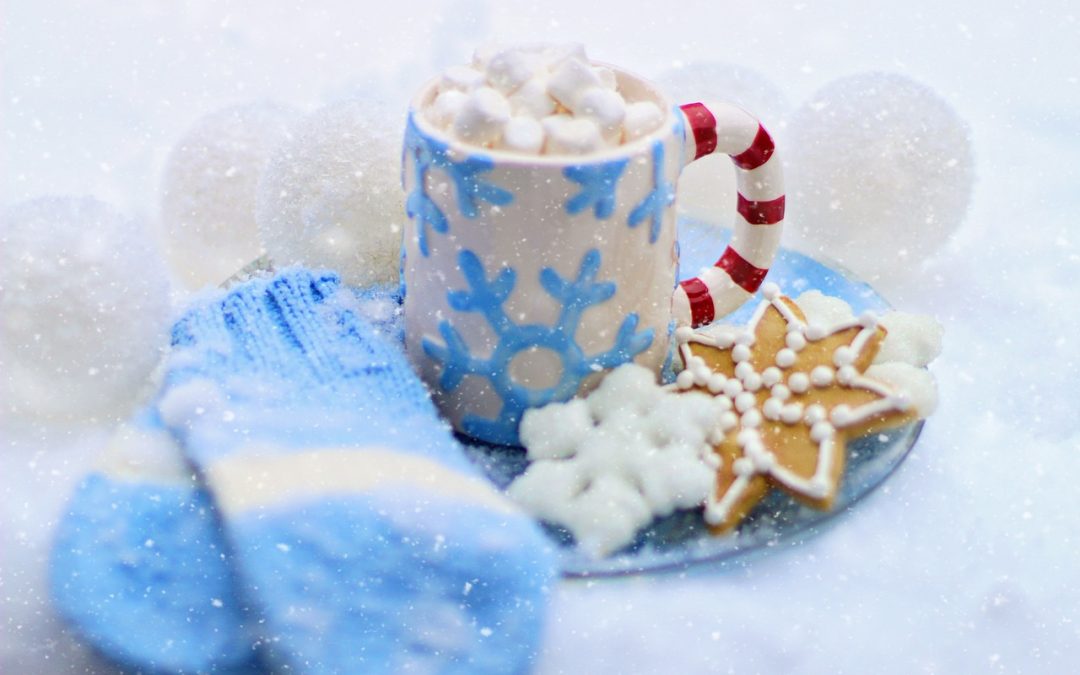 World Snow Day