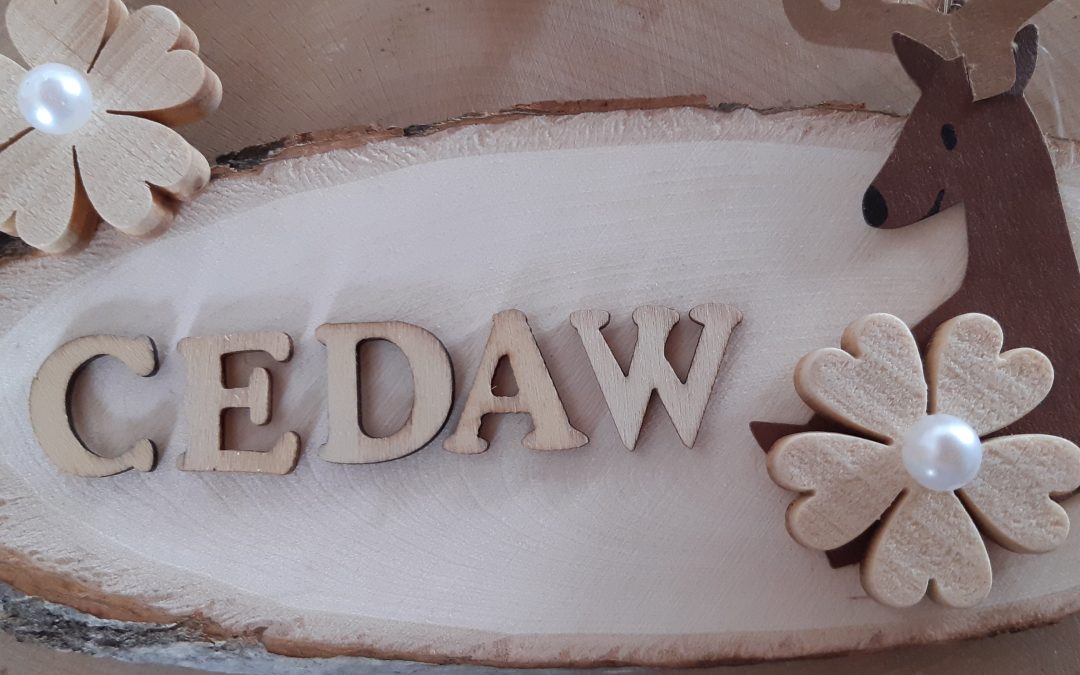 CEDAW, sai cos’è?