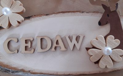 CEDAW, sai cos’è?
