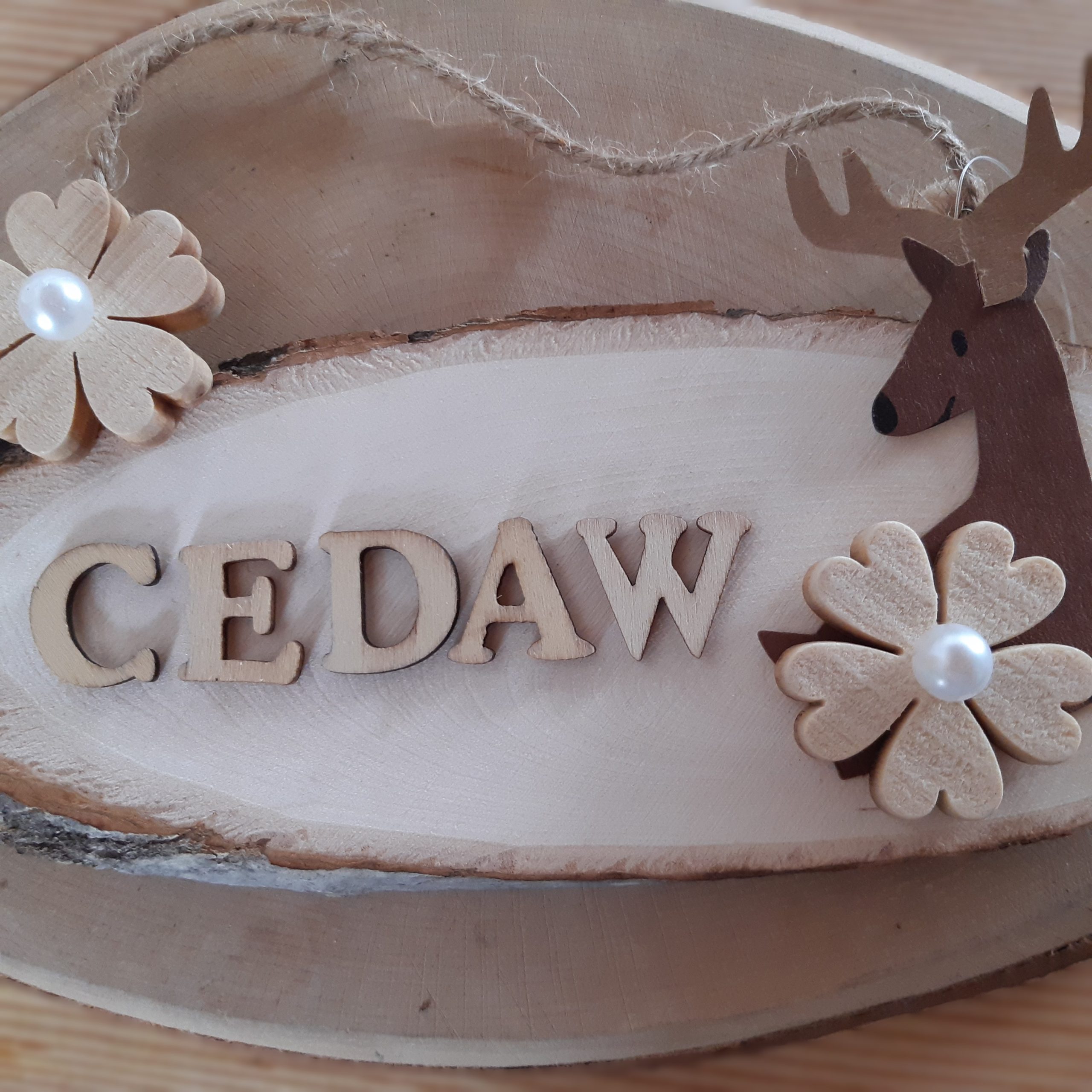 cedaw1 CEDAW, sai cos'è?