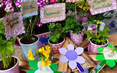 Piantine e colori di primavera