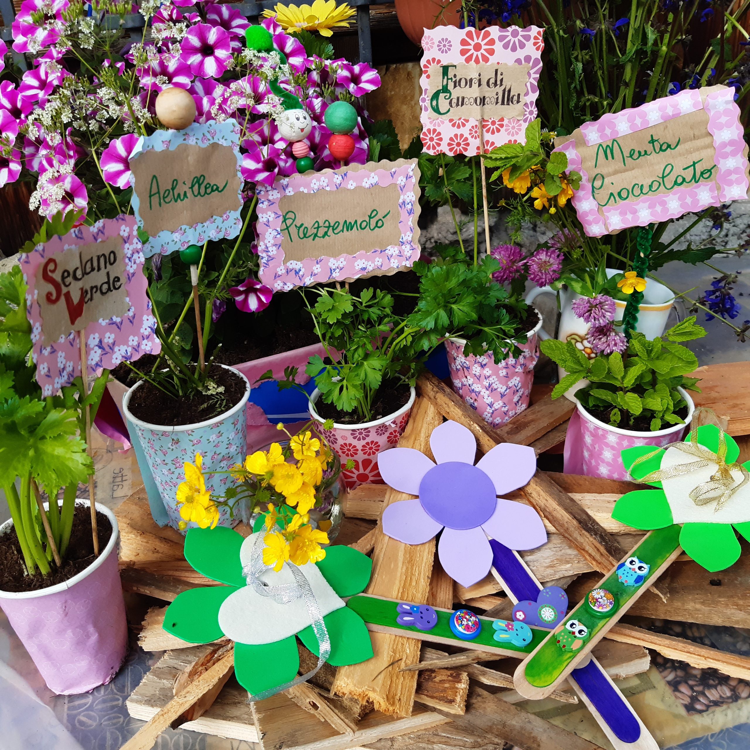 Piantine e colori di primavera