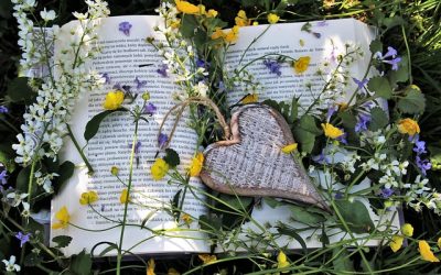 Letture sull’erba