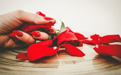 Giornata internazionale per l’eliminazione della violenza contro le donne