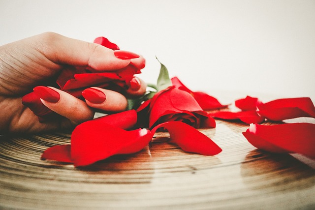 red-967997_640 Giornata internazionale per l'eliminazione della violenza contro le donne