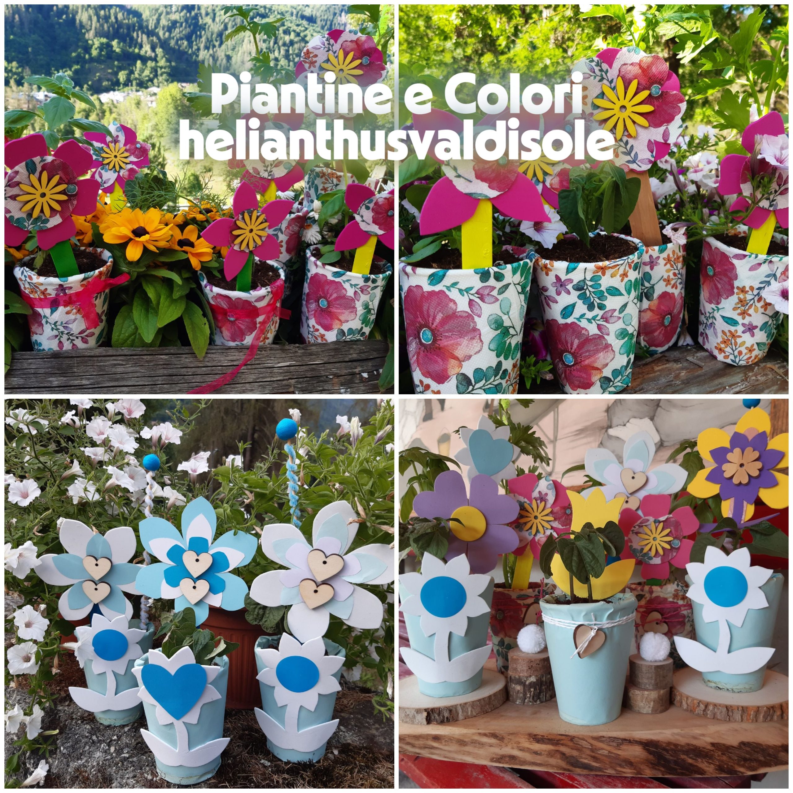 Laboratorio piantine e colori