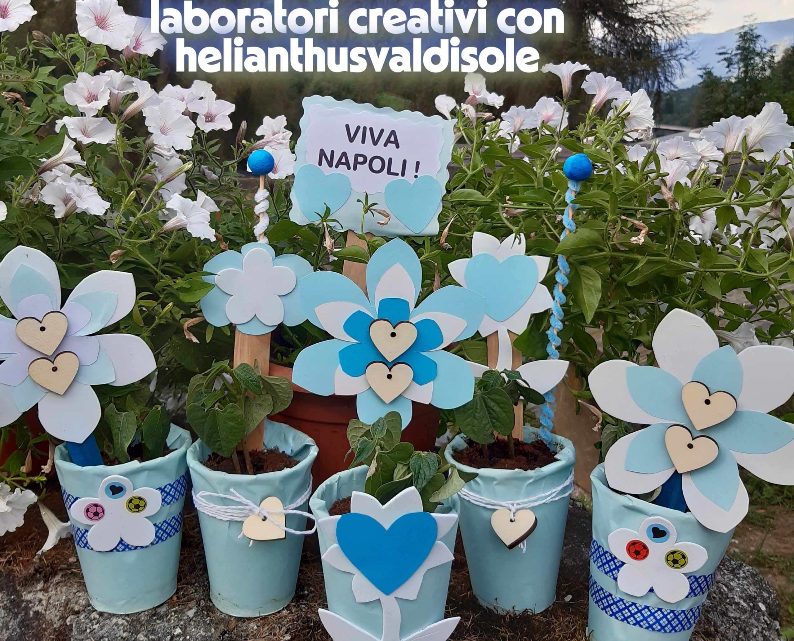 Piantine vn s Viva Napoli Campioni d'Italia 2025