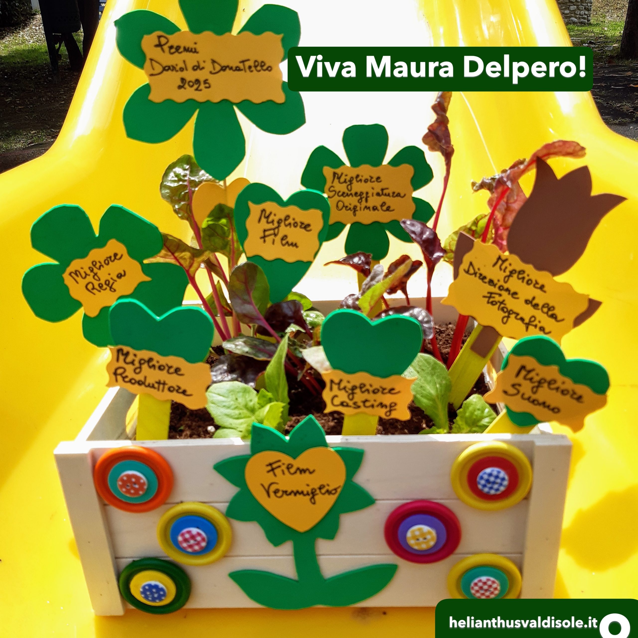 Viva Maura Delpero
