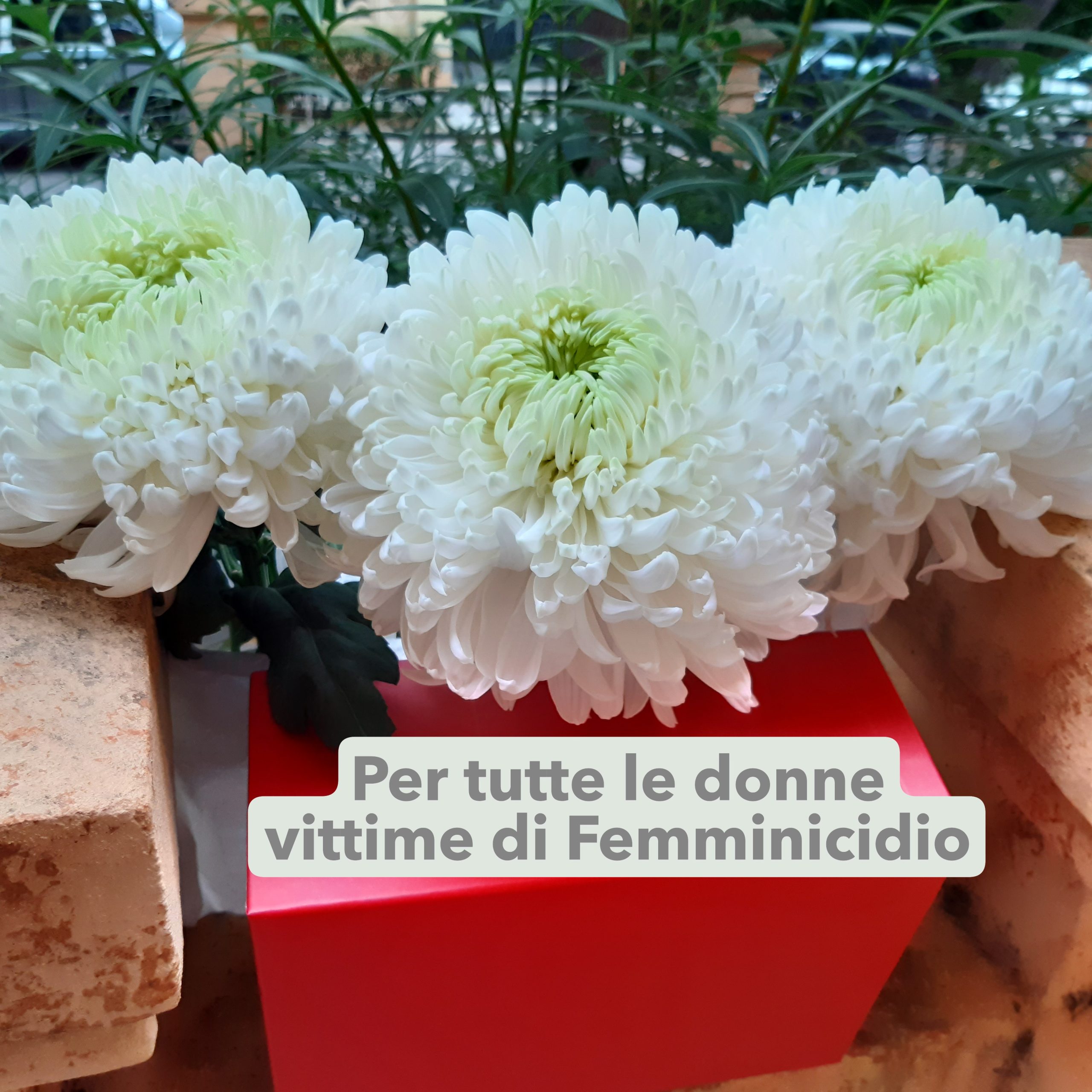 Per tutte le donne vittime di femminicidio