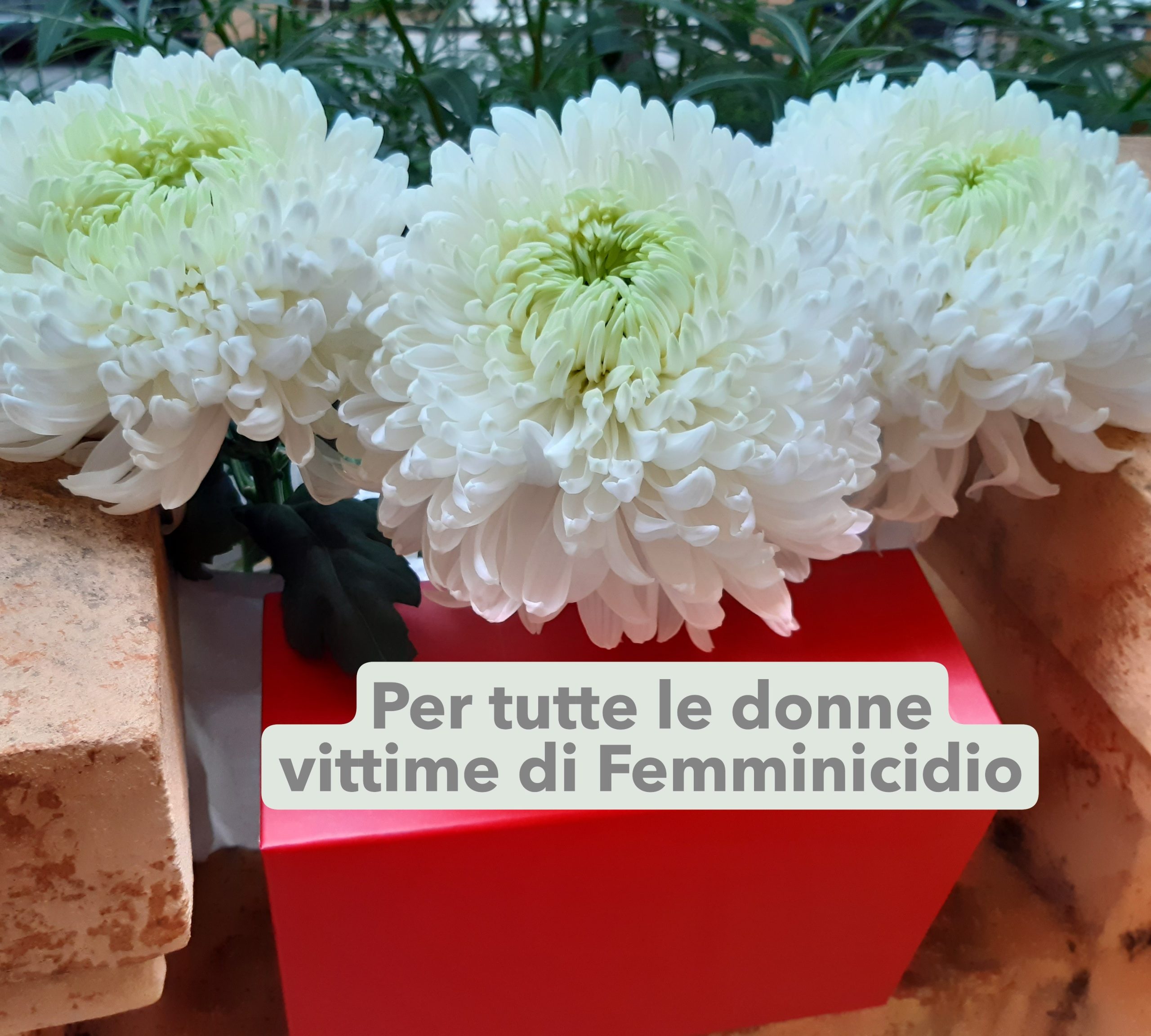 Giornata internazionale per l'eliminazione della violenza contro le donne