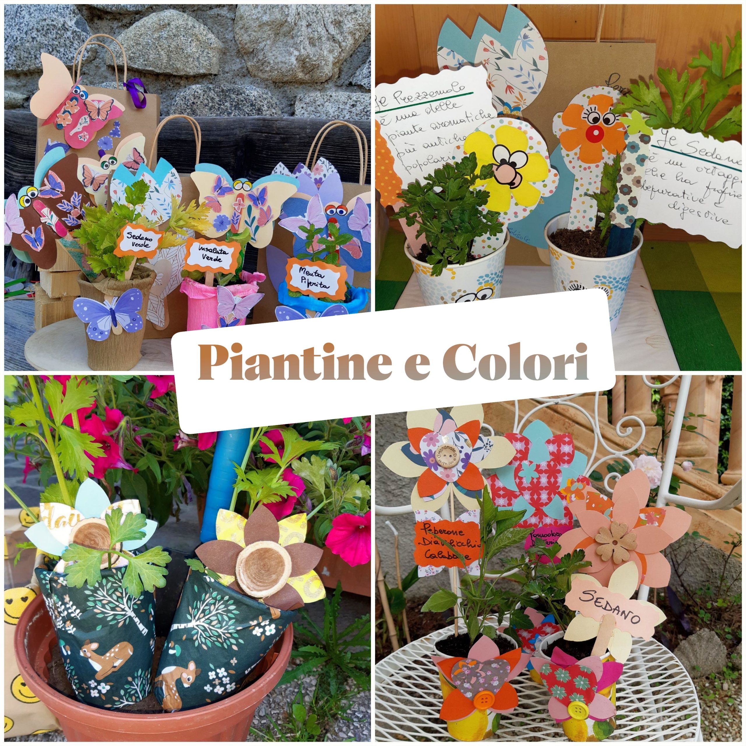 laboratorio creativo piantine e colori