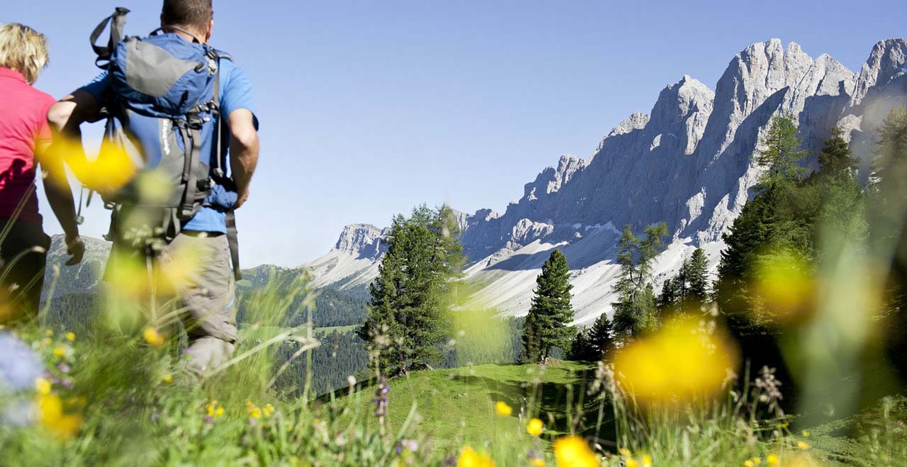 Territorio-Val-di-Sole